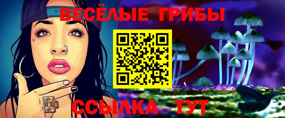Галлюциногенные грибы GOLDEN TEACHER Вятские Поляны